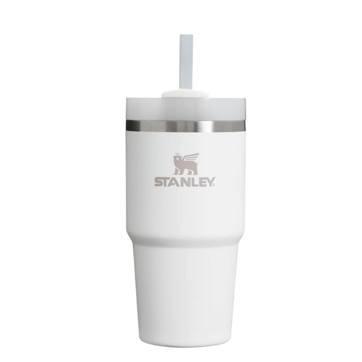Stanley The Quencher H2.0 FlowState 20oz Tumbler Coolers & Thermos Stanley Frost OS