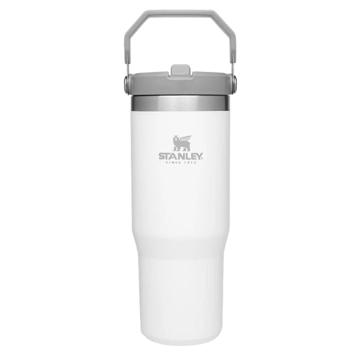 Stanley The IceFlow Flip Straw 30oz Tumbler Water Bottles & Jugs Stanley Polar OS