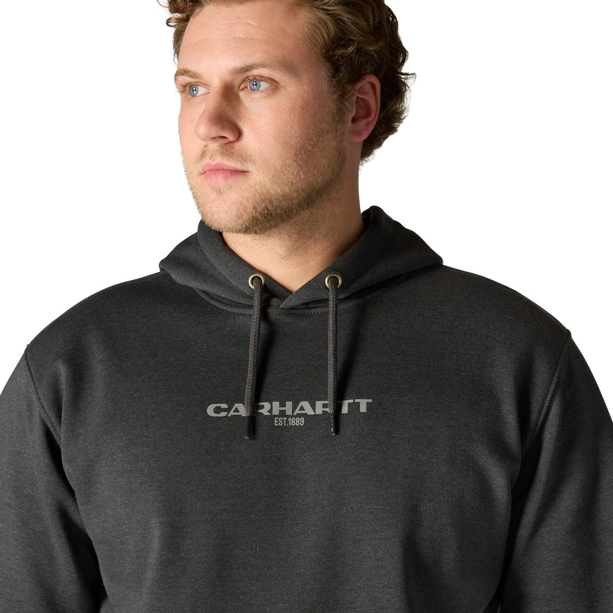 Carhartt Men's Rain Defender Loose Fit Midweight 1889 Graphic Sweatshirt Sweatshirts & Hoodies Carhartt