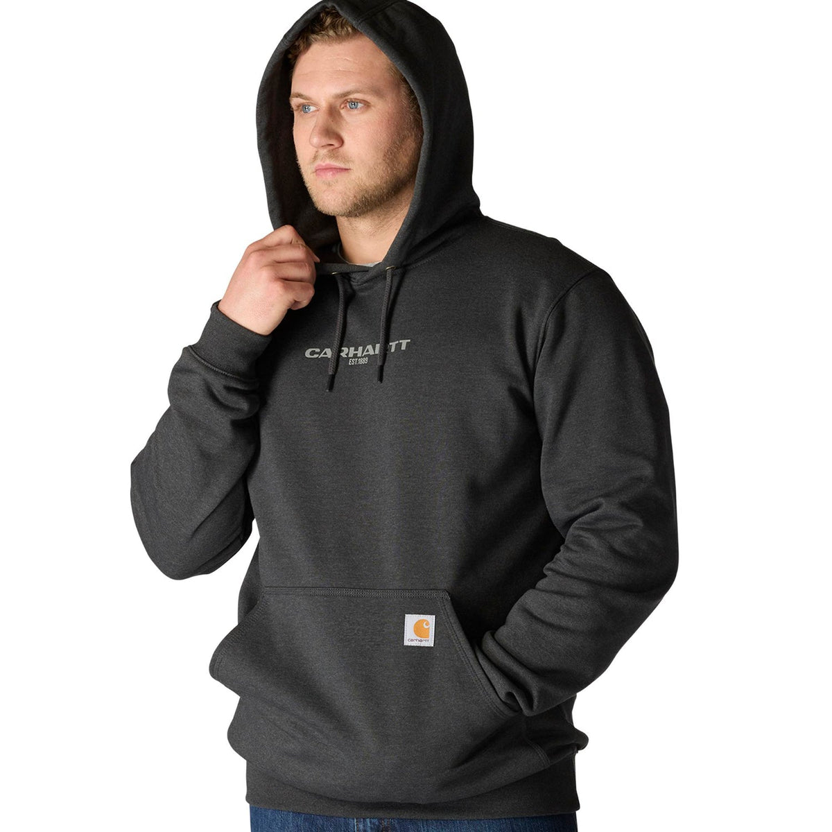 Carhartt Men's Rain Defender Loose Fit Midweight 1889 Graphic Sweatshirt Sweatshirts & Hoodies Carhartt