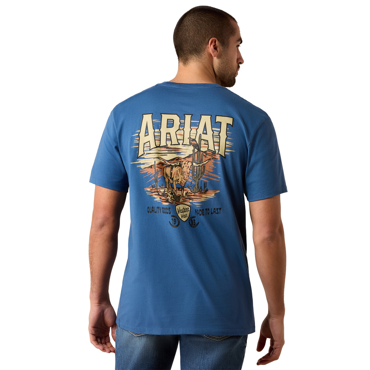 Ariat Men's Lone Longhorn Short Slevee T-Shirt T-Shirts Ariat Grisalle 2XL Reg