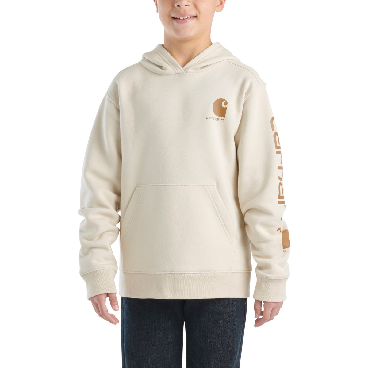 Carhartt Boys' Long Sleeve Graphic Sweatshirt Sweatshirts & Hoodies Carhartt Turtledove 4 Little Kid
