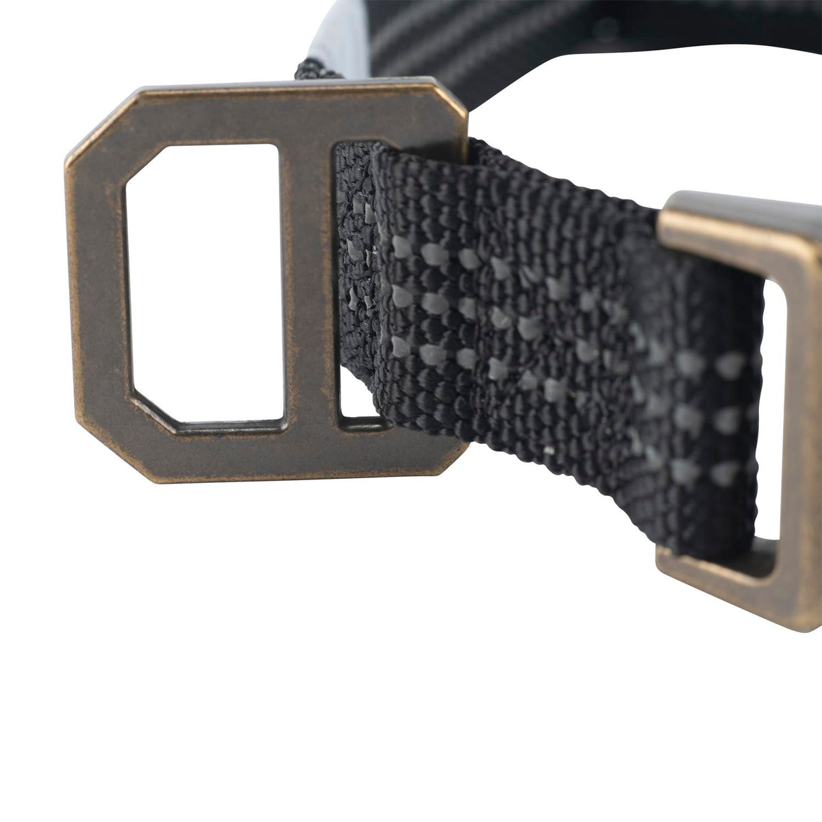 Carhartt Dog Collar