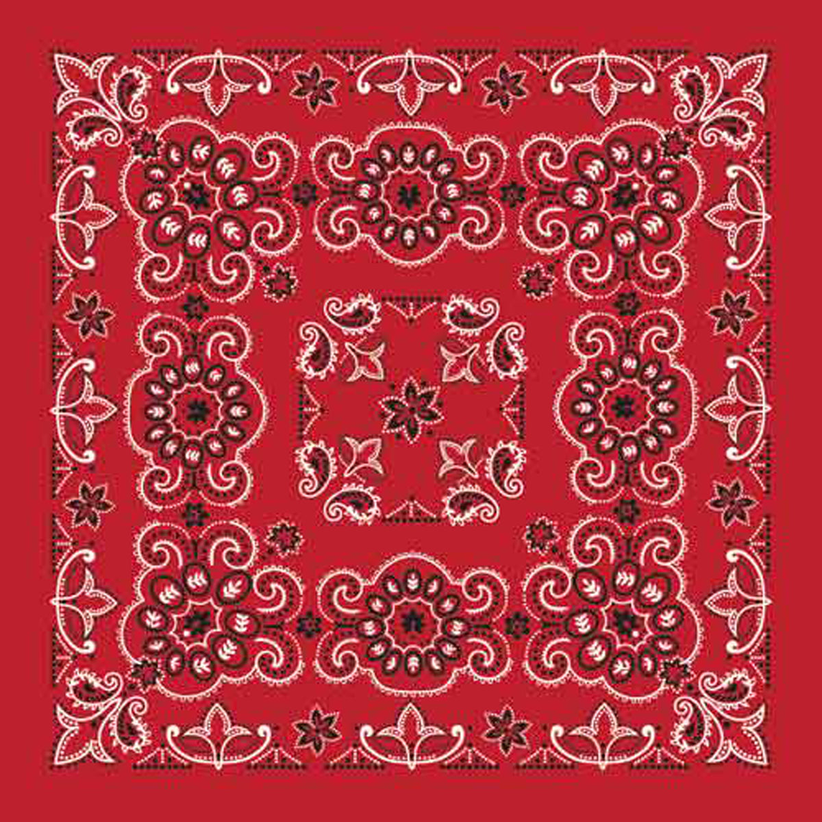 The Bandanna Company 27" Paisleys Bandannas