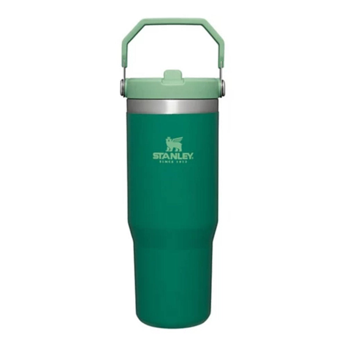 Stanley The IceFlow Flip Straw 30oz Tumbler Water Bottles & Jugs Stanley Alpine OS